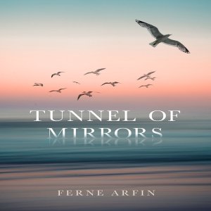 audiobook cover tunnel of mirrors